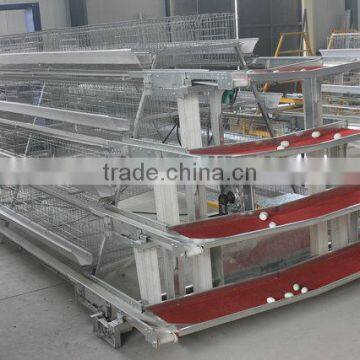 Africa Birds Equipment of automatic egg production line