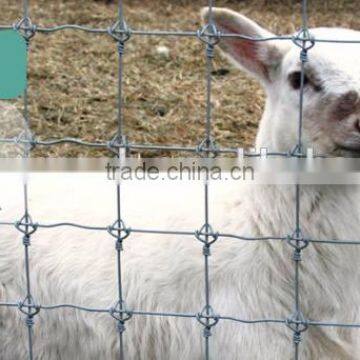 Fixed Knot Lowes Hog Wire Fencing photo-3