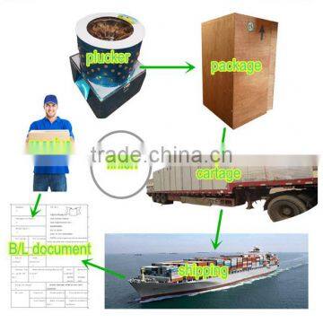 Factory Made 30s Fast Feather Removing Wholesale Automatic Quail Plucker photo-4