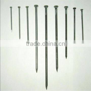 common nail / common wire nail / common iron nail