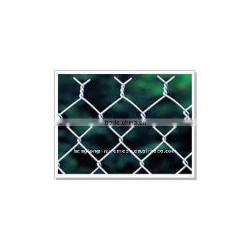 Galvanized Chain Link Fence