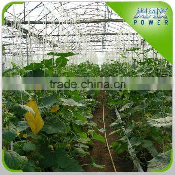 Good Quality Multi-span Agriculture Greenhouse photo-2