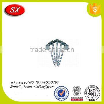 OEM Umbrella Head Galvanized Roofing Nails With Smooth Shank From China photo-5