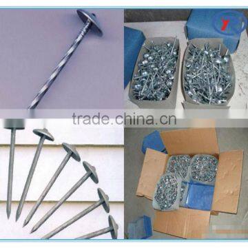Good Quality 15 Degree Coil Roofing Nail photo-4