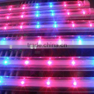 Led Grow Light Full Spectrum 2017 for Hydroponic Vertical Indoor,tissue Culture Banana Plant Light photo-3