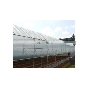 Multi-span tunnelgreenhouse for vagetable