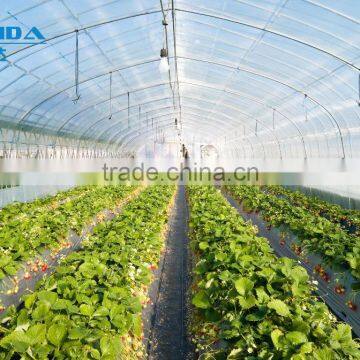 Hot Sale Galvanized Pipe With Plastic Film Greenhouse for Crops or Commercial Use photo-4