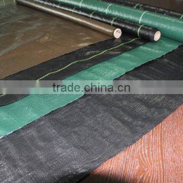 Weed Control photo-6