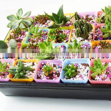 Plastic Raised Garden Bed photo-4