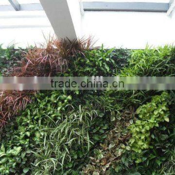 Best Price Natural Looking Artificial Plant Wall,artificial Green Wall, Artificial Flower Wall photo-2
