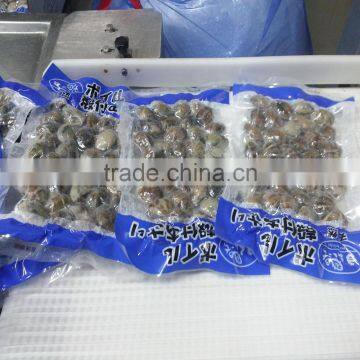 Fresh Frozen Boiled Baby Clam Shell-On photo-2