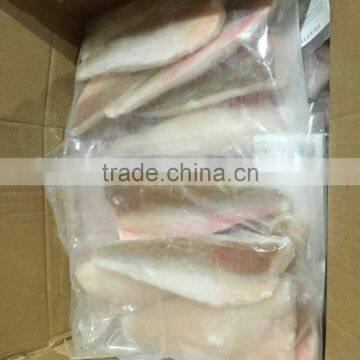 Red Gurnard Fillet photo-2