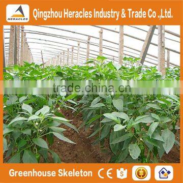 Heracles Trade Saaurance Good Quality uv Plastic Poly Tunnel Greenhouse for Sale photo-4