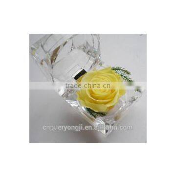 Hot Sale Long Lasting Preserved Flower Ring Box For Valentine's Day Gift photo-3