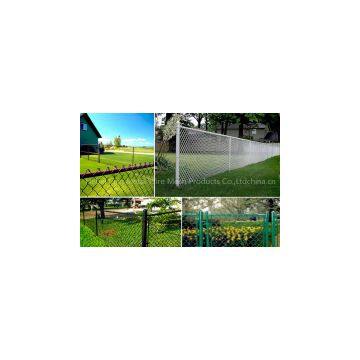 Anping Supplier High Quality Chain Link Fence photo-3