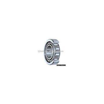 needle roller bearing,ina bearing