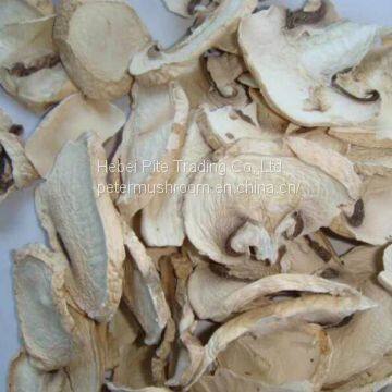 Dried Edible Mushroom Fungus Champignon Mushroom