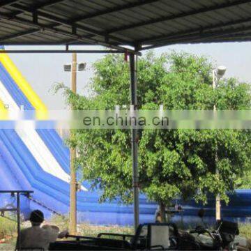 Giant Inflatable Hippo Slide WS070 photo-2
