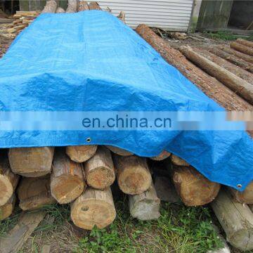 Lumber tarp sheets pe tarpaulin popular in Canada