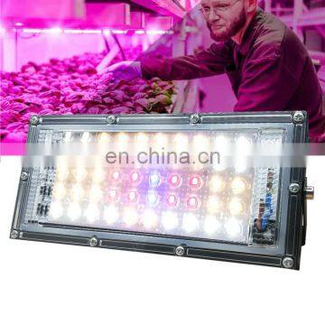 2020 New 50w led module grow light full spectrum For Indoor Hydroponics Plants