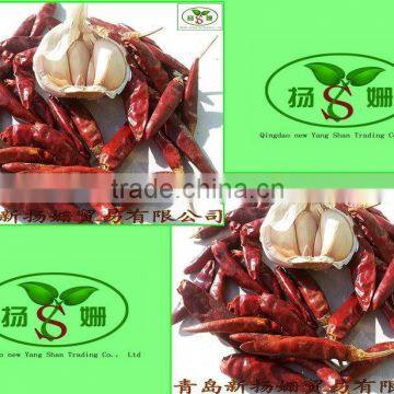 Dry chili wholesale and export, perfect chili