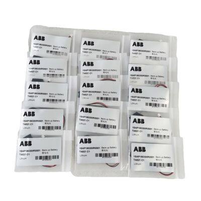 ABB PLC-AC500  DI524 DCS  module  Amazing discount