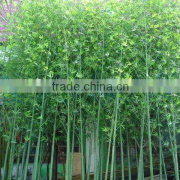 the good quality evergreen leaf artificial outdoor bamboo tree bamboo plants artificial lucky bamboo for sale                        
                                                Quality Choice