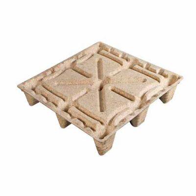 Eco-Friendly Hydraulic Press | High-Performance Molded Pallet Compression Machine for Waste Wood Recycling & Sustainable Manufacturing photo-2