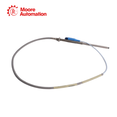 Bently Nevada 330910-10-22-10-01-CN photo-2