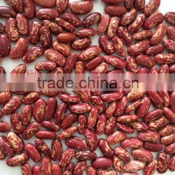 Red speckled kidney beans