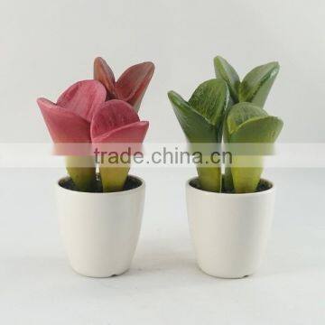 Professional /Fashion designed for party&indoor artificial cactus succulent plants