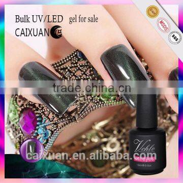 Gel for Nail Art Designs and Equipment for Sale for Christmas Cat Eye Color Gel Nail Polish photo-3
