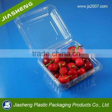 Custom Design Blister Plastic Fruit Package, Packaging Box for Dry Food