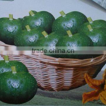 Jade green hybrid squash vegetable seeds