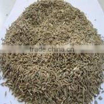 Indian Cumin Seeds