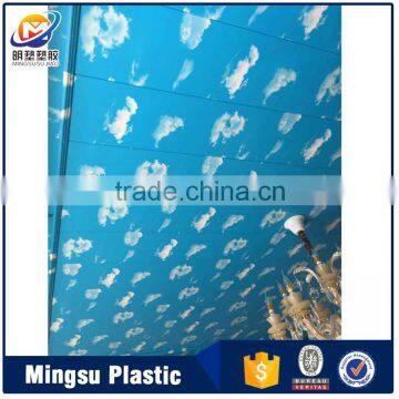 blue sky ceiling in 2016 new trending products