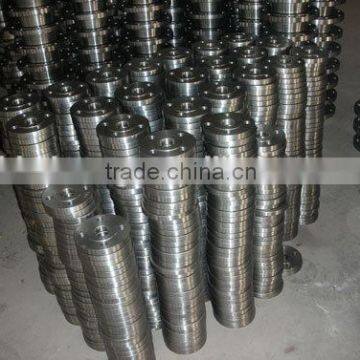 OEM Stainless Steel Forged Flange Made in China