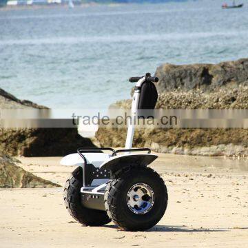 Two wheel self balancing electric scooter,stand up human transporter electric chariot scooter with reflective stickers