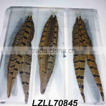 fashion ringneck pheasant tail feather earrings