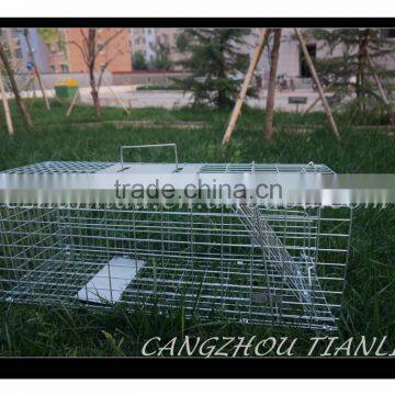 Animal Trap Cage Pest Type Cat Trap Cage Foldable Trap Cage TLD2015A