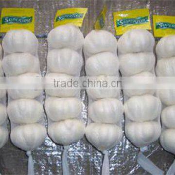Chinese Garlic for World Market photo-6
