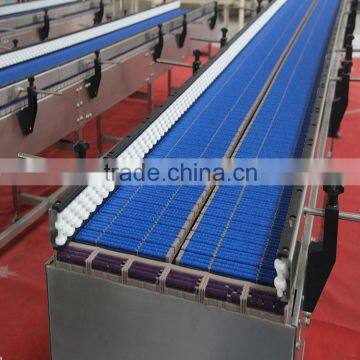 LBP Chain Conveyor for Accumulation photo-5