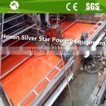 Automatic Broiler Cage for Poultry Farm photo-4