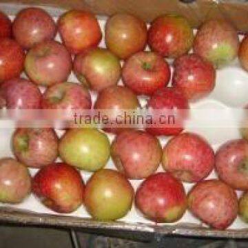 2015 Chinese Fresh sweet Qin guan apple with good quality