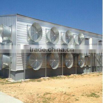 full automatic equipments chicken farm building