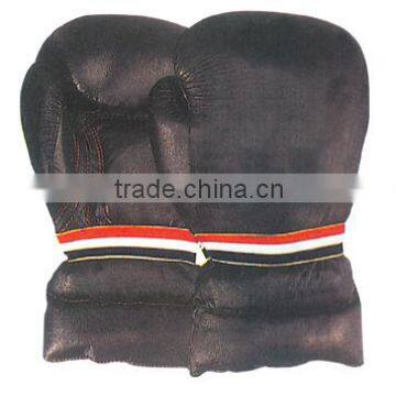 Double Strap Boxing Gloves