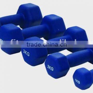 Ballast-surfaced PVC Coating Dumbbell/gym equipment