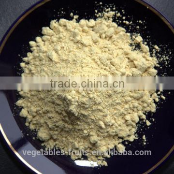 Powdered white onion/ yellow onion powder