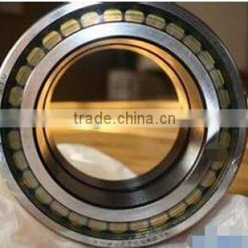 SL045007PP Double-Row Full Complement Cylindrical Roller Bearing SL045007 PP,SL 04 5007 PPNR