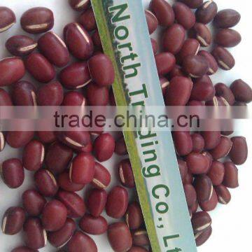 Chinese Small Red Bean( 2011 crop, heilongjiang origin, hps)